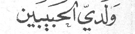 ولديّ الحبيبين