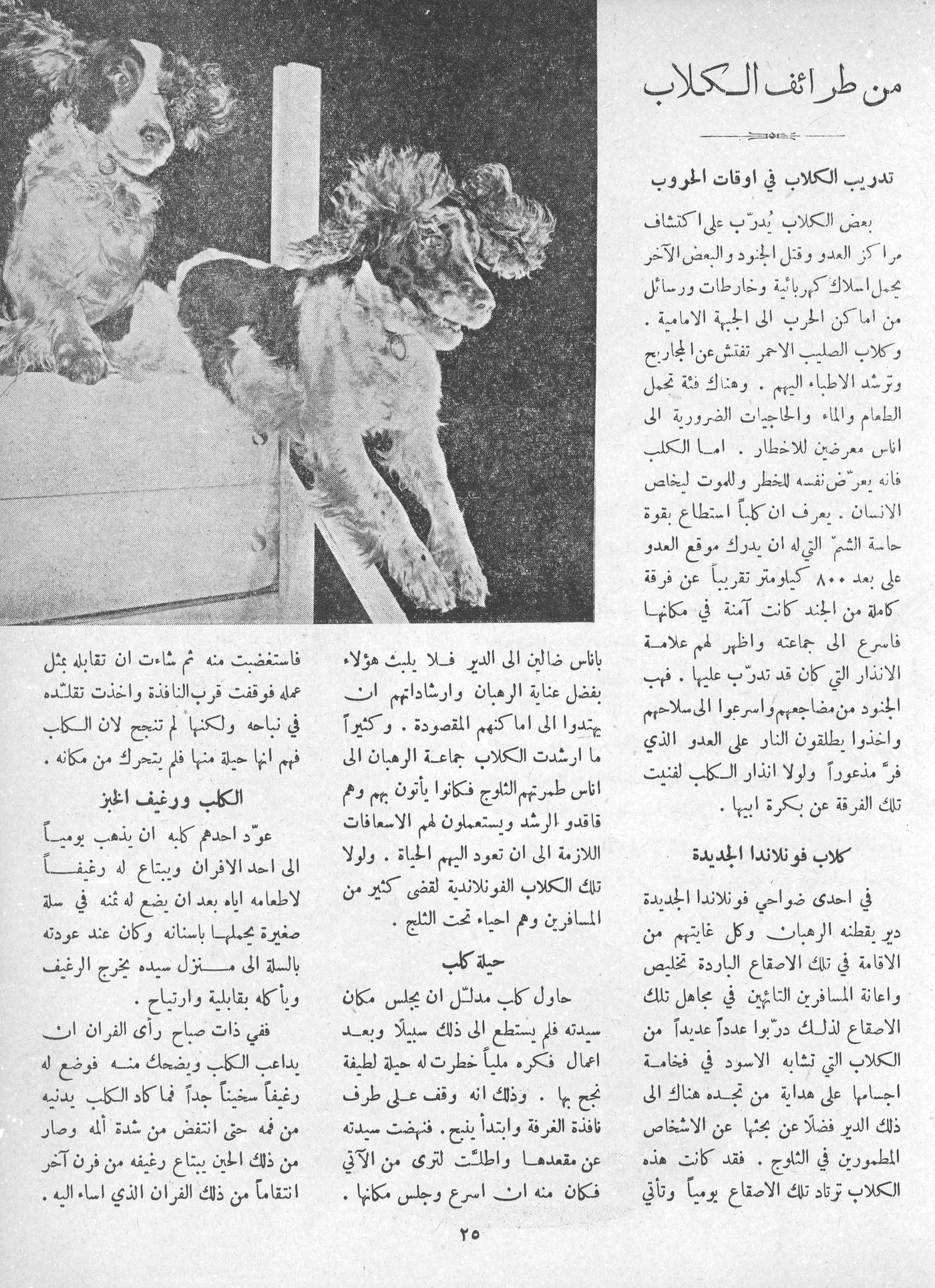 Scan of page 23