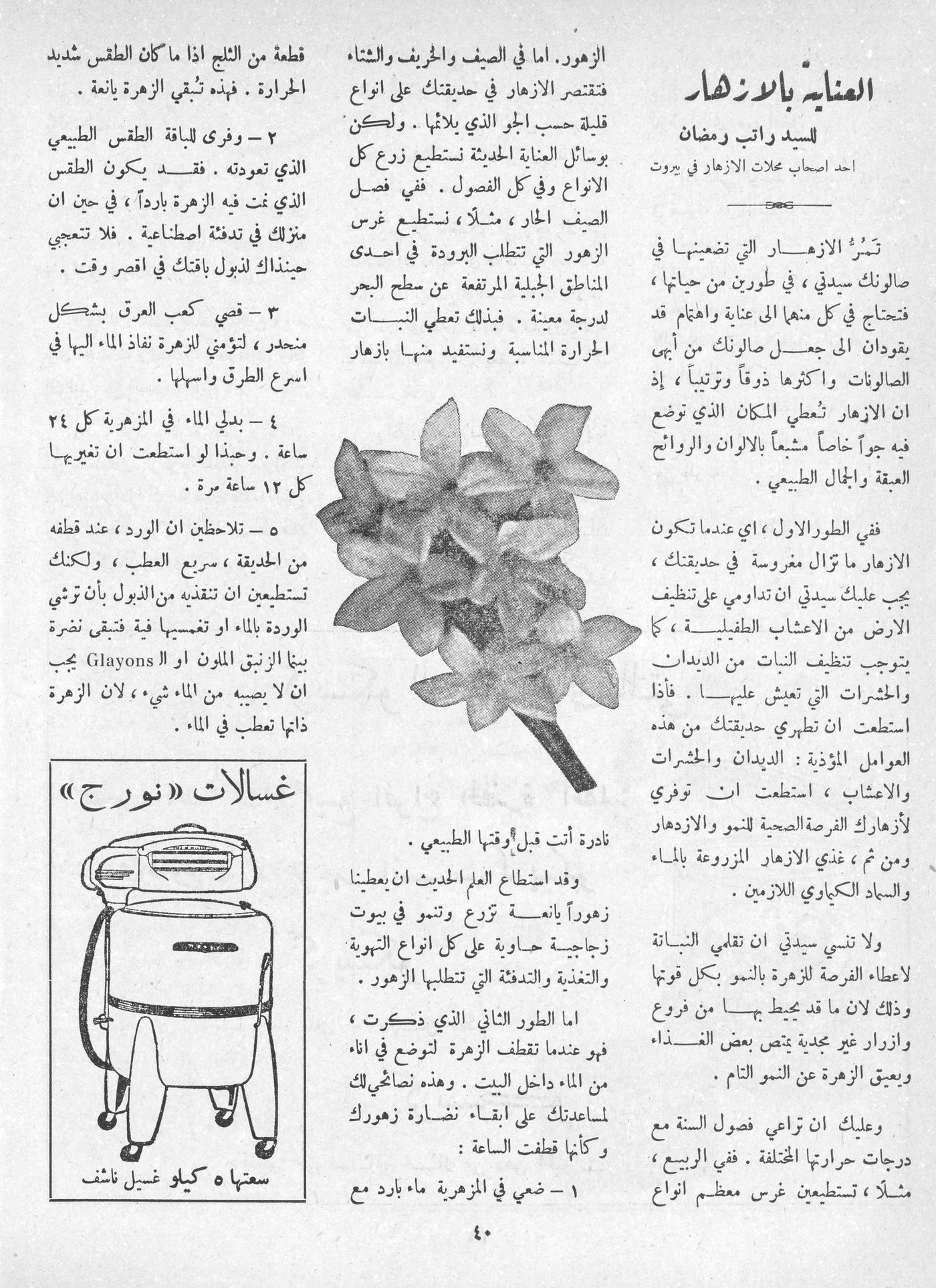Scan of page 38