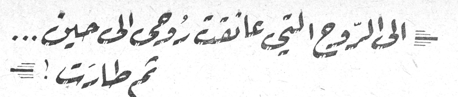 الى الروح التي عانقت روحي الى حين... ثم طارت! أملي أبي راشد