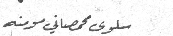 سلوى محمد صافي سرمنه