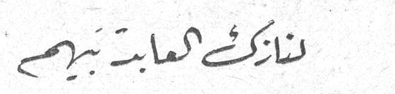 نازك العابد بيهم