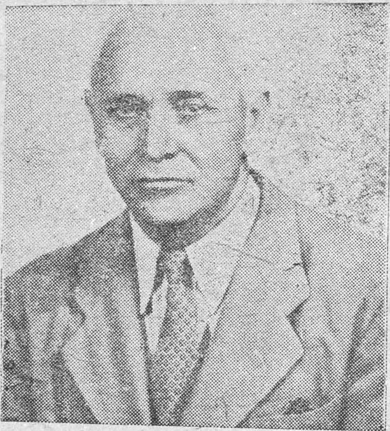 السيد ستولزفس