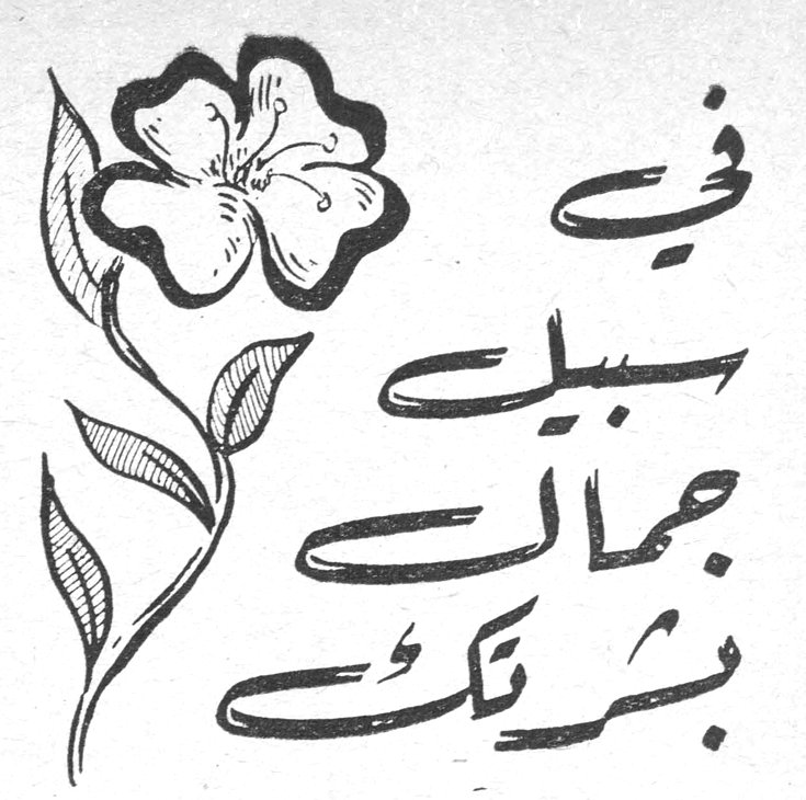 في سبيل جمالك بشرتك