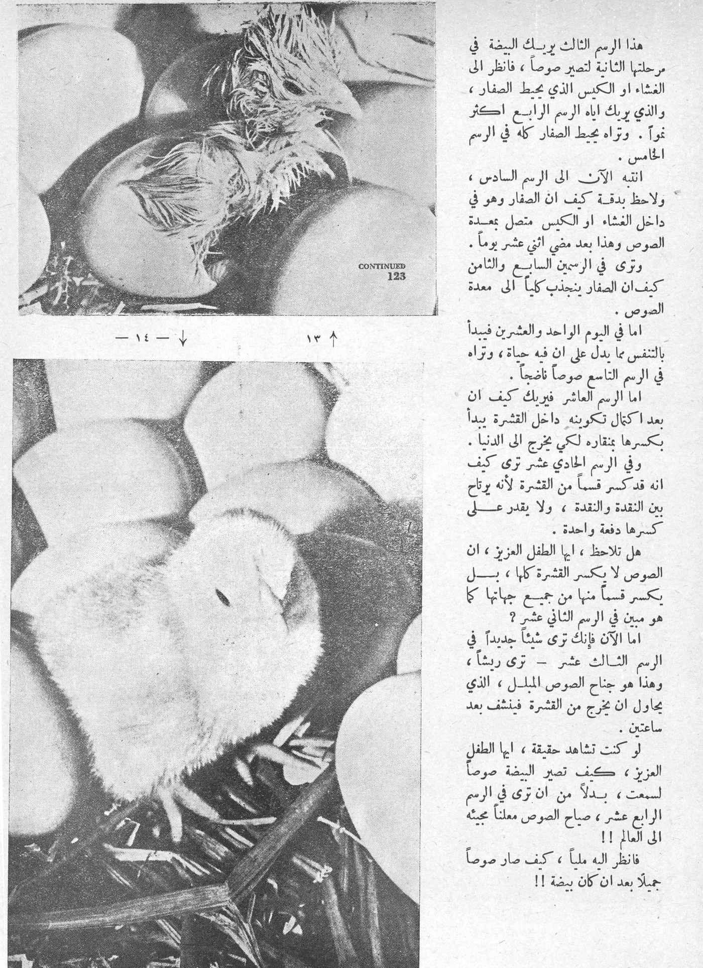 Scan of page 13