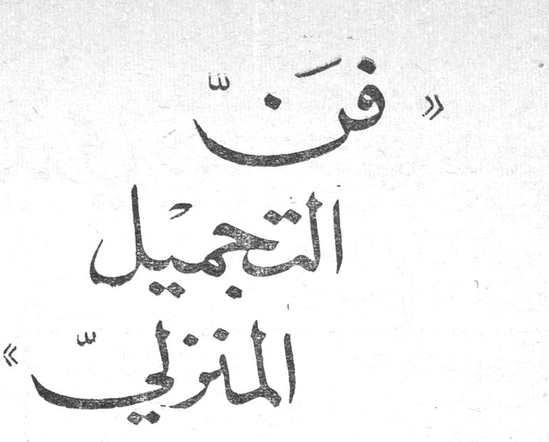 «فنّ التجميل المنزليّ»