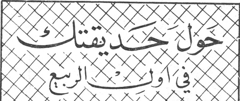 حول حديقتك في أول الربيع