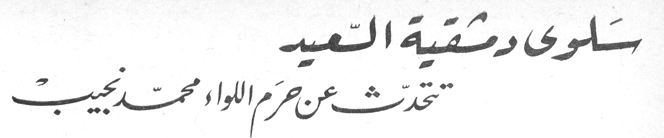 سلوى دمشقية السعيد تتحدث عن حرم اللواء محمد نجيب