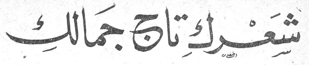 شَعرُكِ تاجُ جَمالِكِ