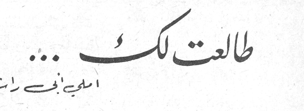 طالعت لك ... سلمى بني راشد