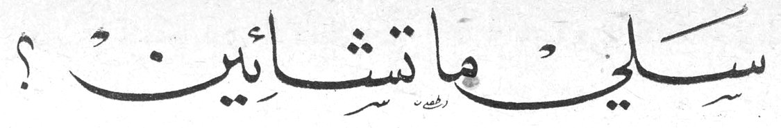 سلي ماتشائين ؟