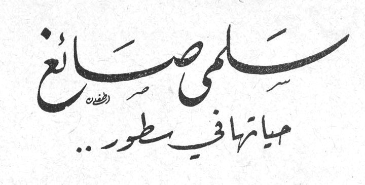 سلمى صائغ - حياتها في سطور