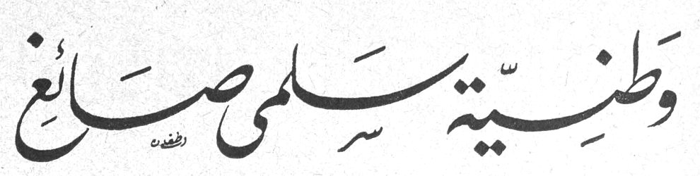 وطنية سلمى صائغ