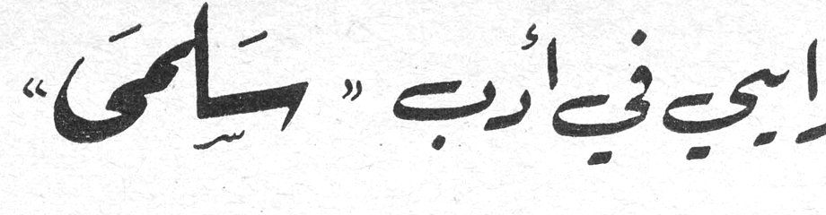 رأيي في أدب «سلمى»