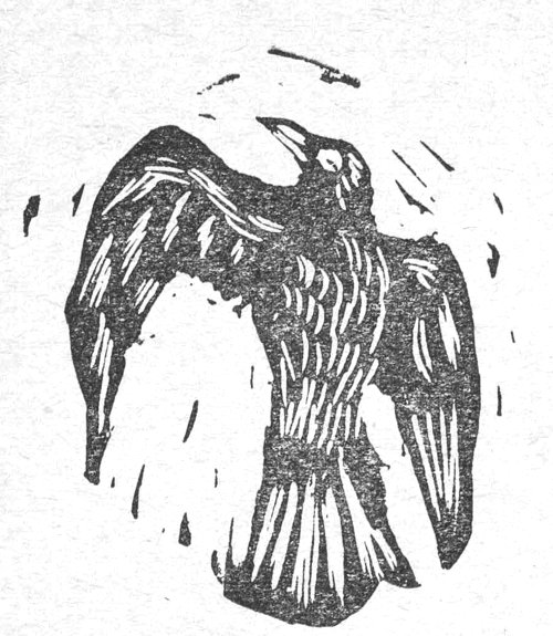 رسم نسر