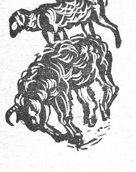 رسم خراف