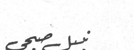نبيل صبحي