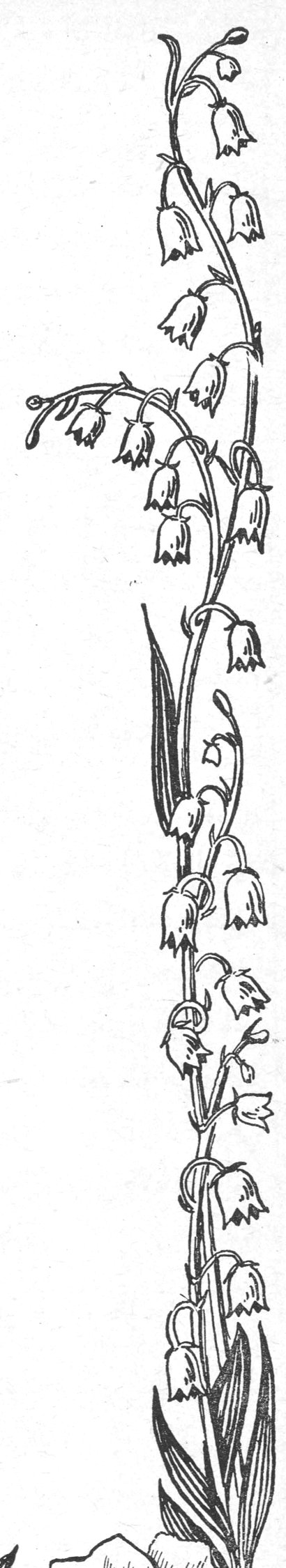 زخرفة زهرية عمودية