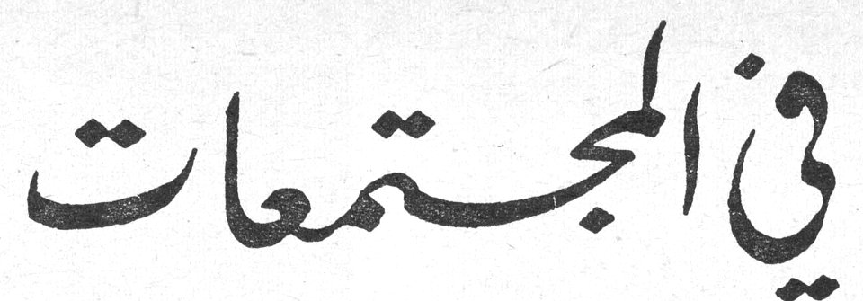 في المجتمعات - جامعة نساء لبنان