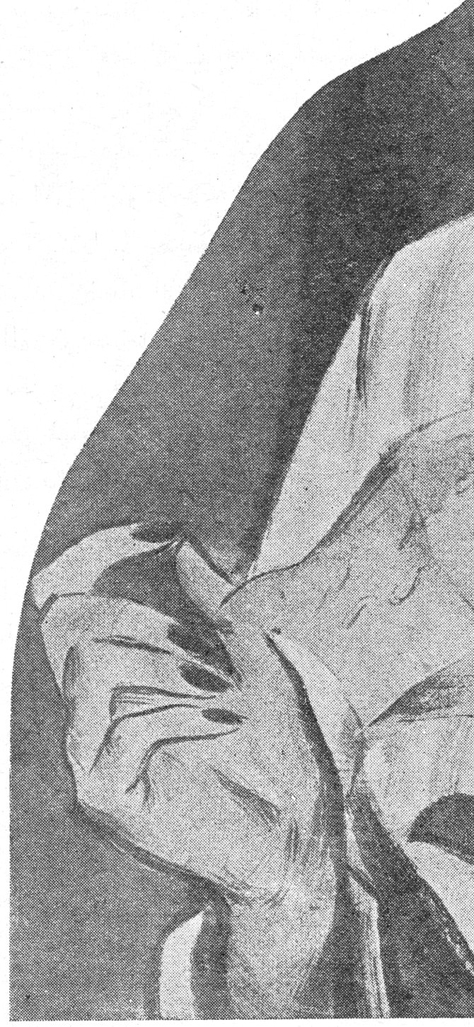 امتداد الصورة