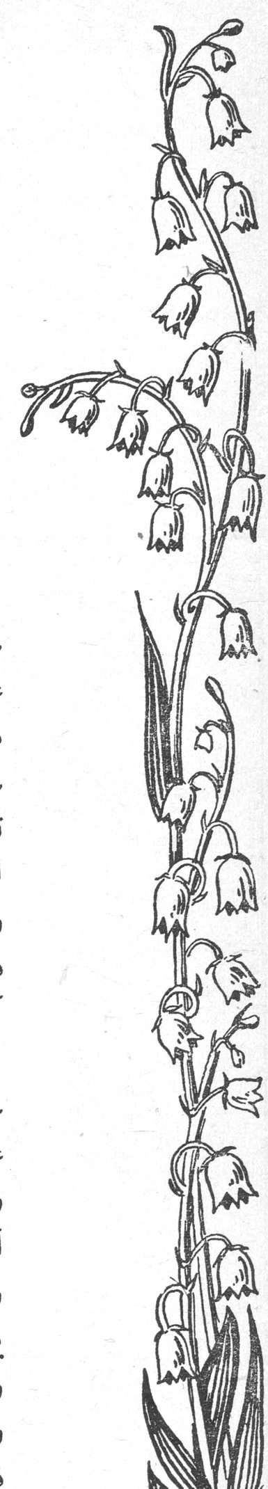زخرفة زهرية