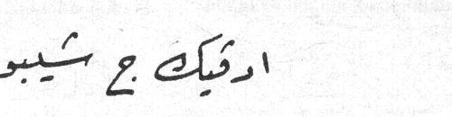 ادفيك ج شيبوب