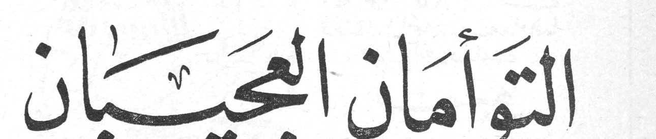 التوأمان العجيبان