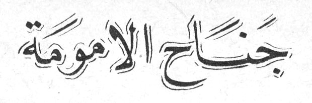 جَناحُ الأُمومَة