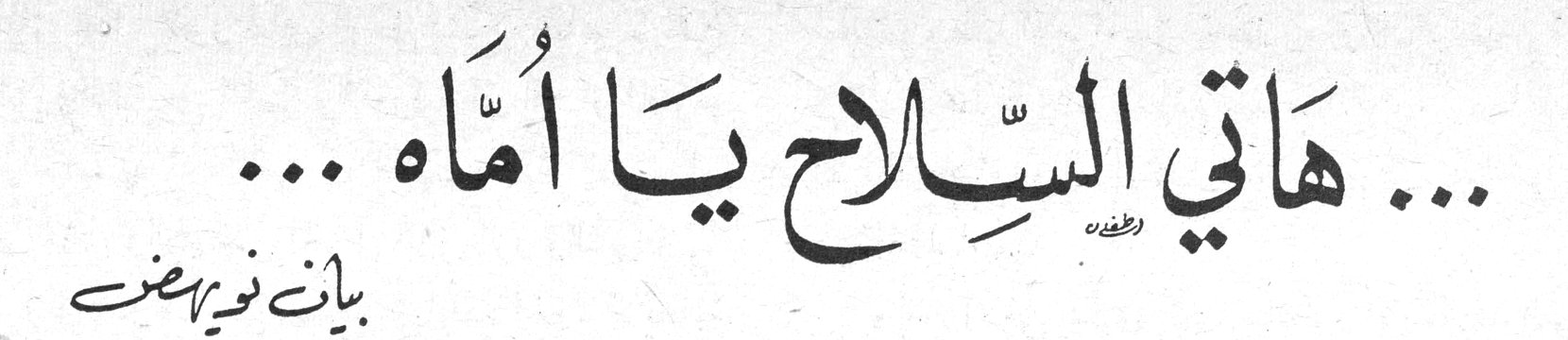 ... هاتي السِّلاح يا أُمَّاه ... بيان نويهض
