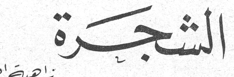 الشجرة