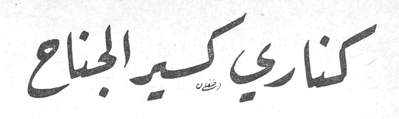 كناري كسير الجناح ام خلدون
