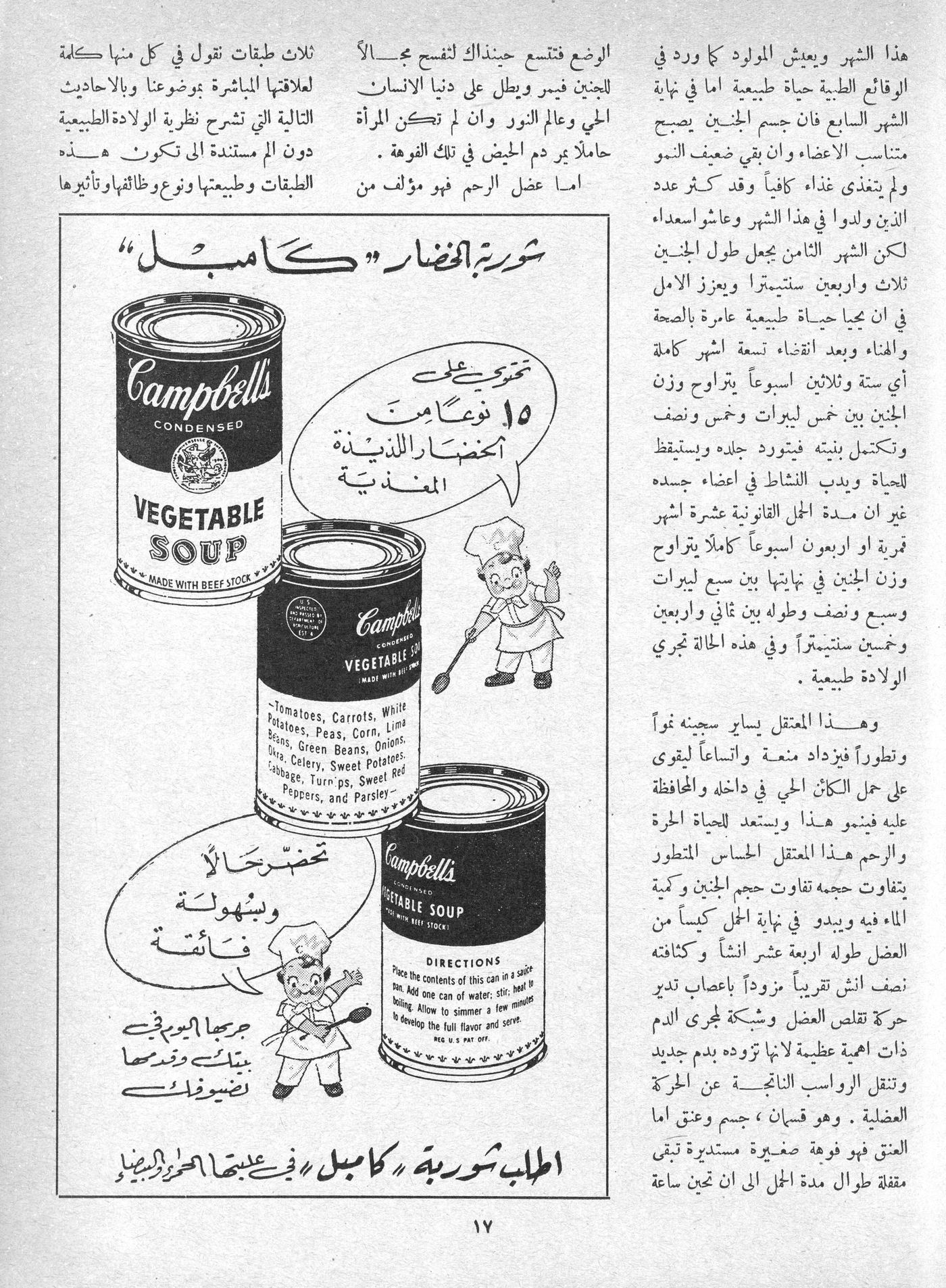 Scan of page 17
