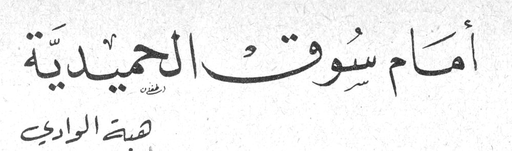 أمام سوق الحميديّة — هبة الوادي