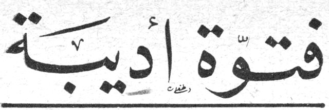 فتوّة أديبة