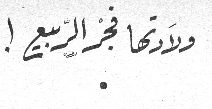 ولادتها فجر الربيع!