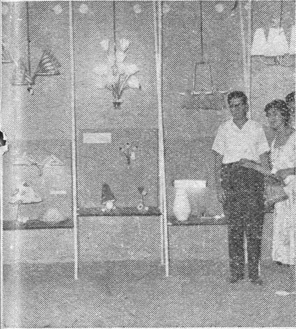 ناحية فنية من الجناح النمسوي