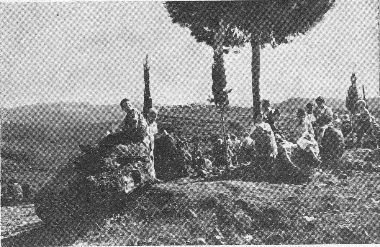 صورة أطفال في الحقول
