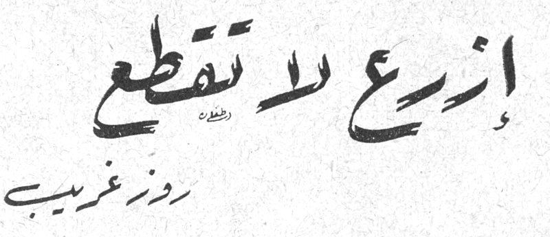 إزرع لا تقطع روز غريب