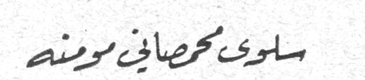 سلوى محمصاني مومنه