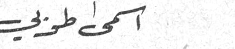 أسمى طربيه