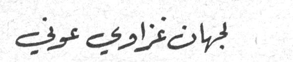 جيهان غزاوي عرفي