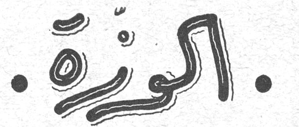 الوزة