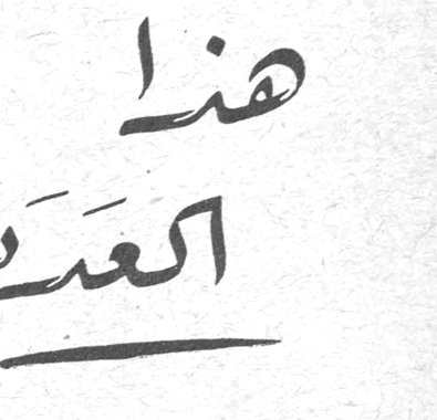 هذا العدد