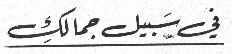 في سبيل جمالك