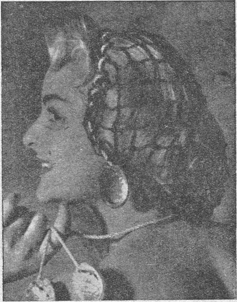 صورة شبكة الشعر الحريرية