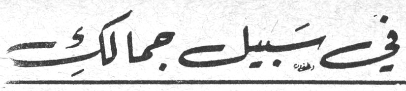 في سبيل جمالك