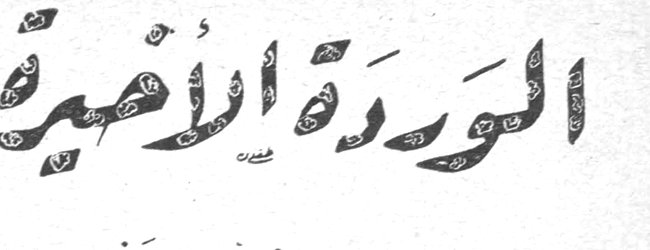 الوردة الأخيرة