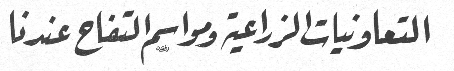 التعاونيات الزراعية ومواسم التفاح عندنا