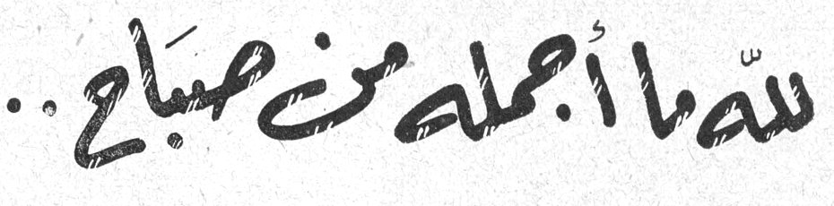 لله ما أجمله من صباح ..