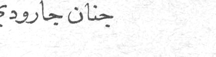 جنان جارودي